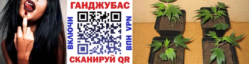 Купить закладку АМФ  Галлюциногенные грибы  Конопля  Лсд 25  Меф мяу мяу  Чердынь