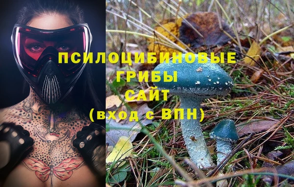 мяу мяу кристалл Остров